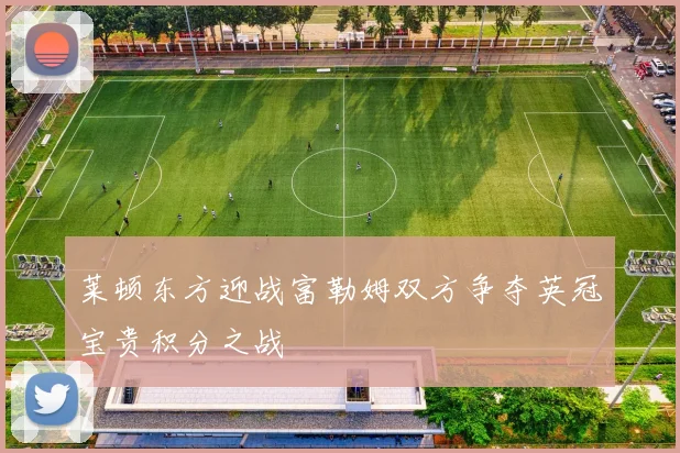 莱顿东方迎战富勒姆双方争夺英冠宝贵积分之战