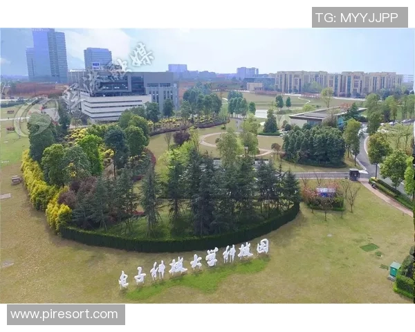 张宁：从职场新星到行业领军者的成长之路与成功秘诀分享